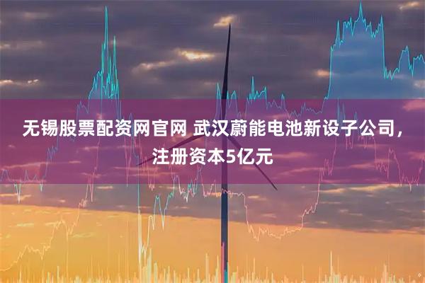 无锡股票配资网官网 武汉蔚能电池新设子公司，注册资本5亿元