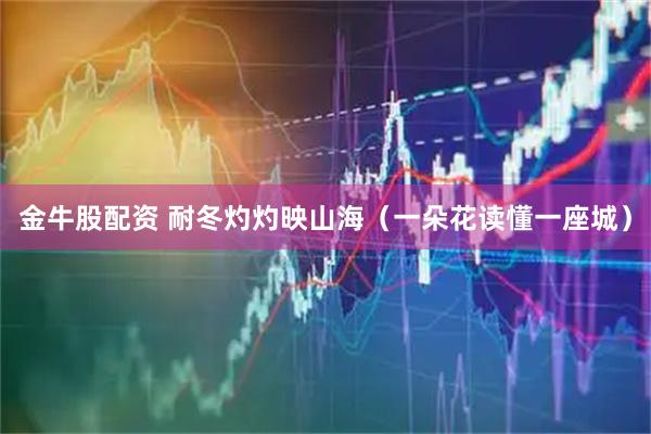 金牛股配资 耐冬灼灼映山海（一朵花读懂一座城）